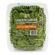 Cameron Garden Baby Spinach (Malaysia) 100g For Discount