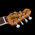 Ernie Ball Music Man Steve Morse Ball Family Reserve Caramel Burst Online now