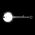 Used 2003 Stelling Staghorn 5-String Banjo Natural Walnut Sale