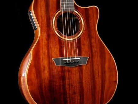 Washburn Comfort Series WCG55CE Koa Acoustic Fashion