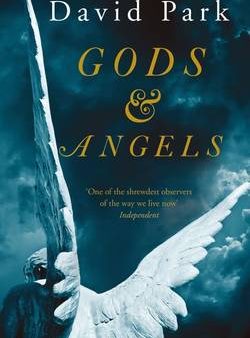 David Park: Gods and Angels [2016] paperback Hot on Sale